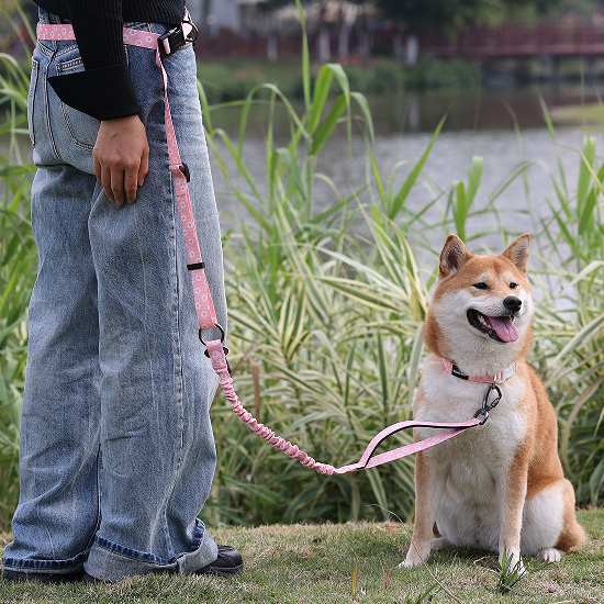 Vlastné multifunkčné ovládateľné sublimačné dizajnové potlačené neoprénové nylonové popruhy bez rúk vodítko pre psov pre vonkajšie použitie 18