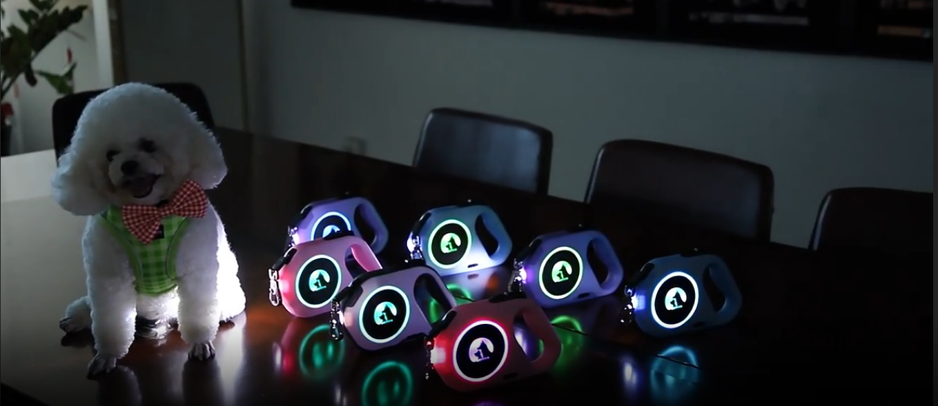 Laisse rétractable personnalisée OKEYPETS pour chien, ultra-résistante, avec lampe torche LED rechargeable 19