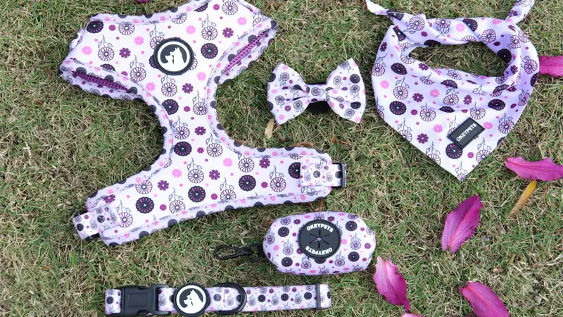 OKEYPETS Odnímatelný motýlek Doplňek Růžový krásný kreslený potisk Rozkošný psí obojek s motýlkem a vodítkem 1