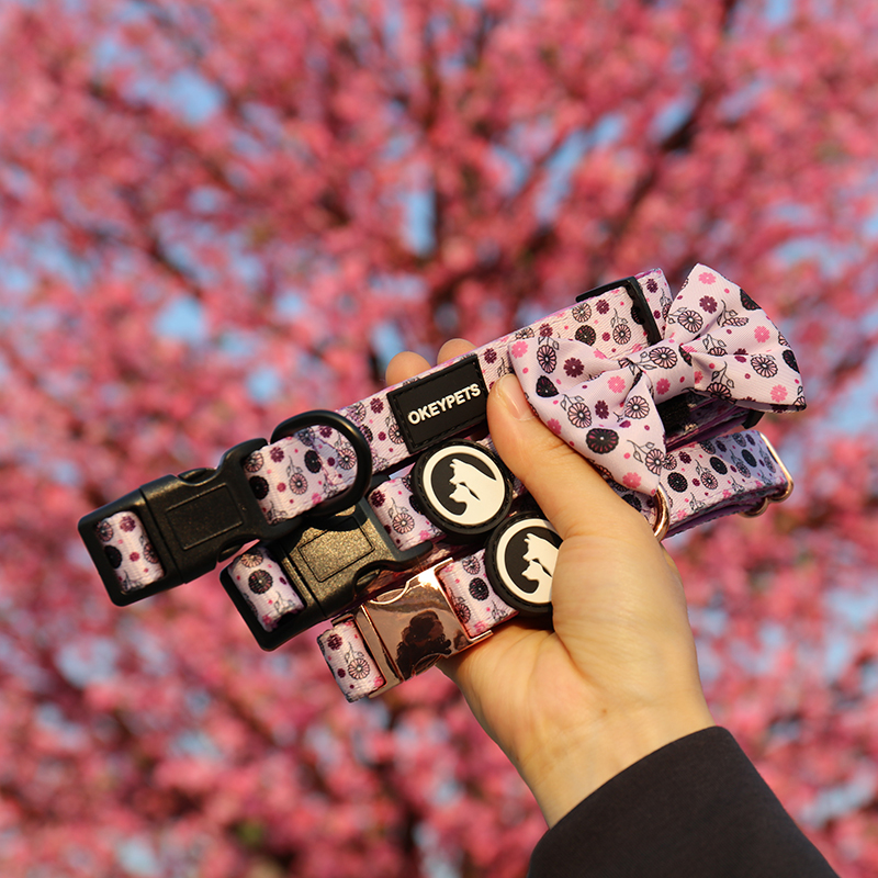 OKEYPETS Odnímatelný motýlek Doplňek Růžový krásný kreslený potisk Rozkošný psí obojek s motýlkem a vodítkem 10