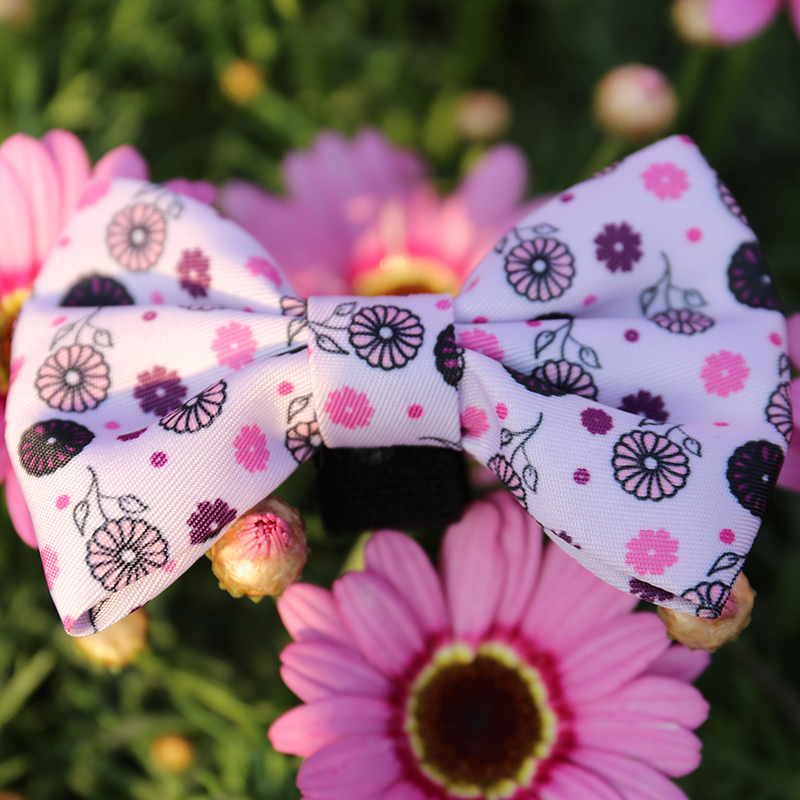 OKEYPETS Odnímatelný motýlek Doplňek Růžový krásný kreslený potisk Rozkošný psí obojek s motýlkem a vodítkem 11