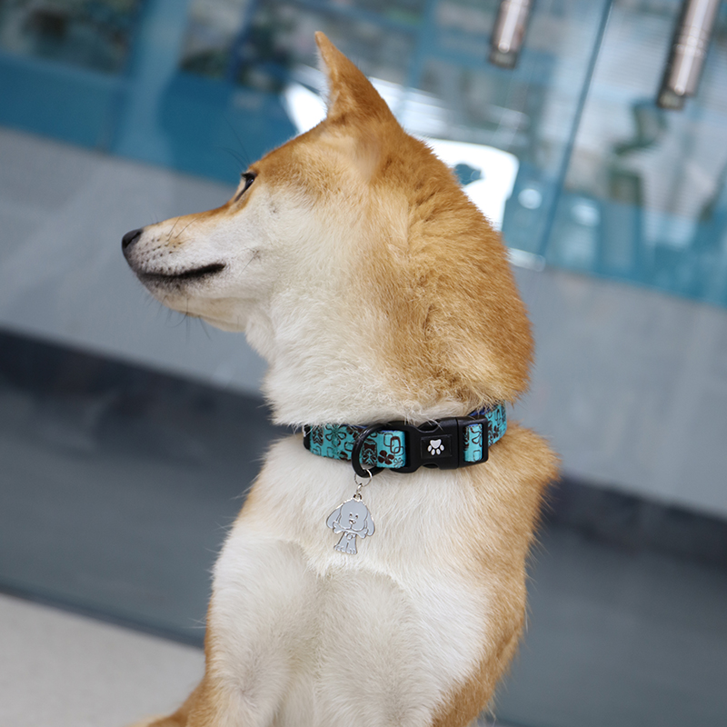 Médaille d'identification pour animal de compagnie avec gravure de logo personnalisée, en acier inoxydable. 18