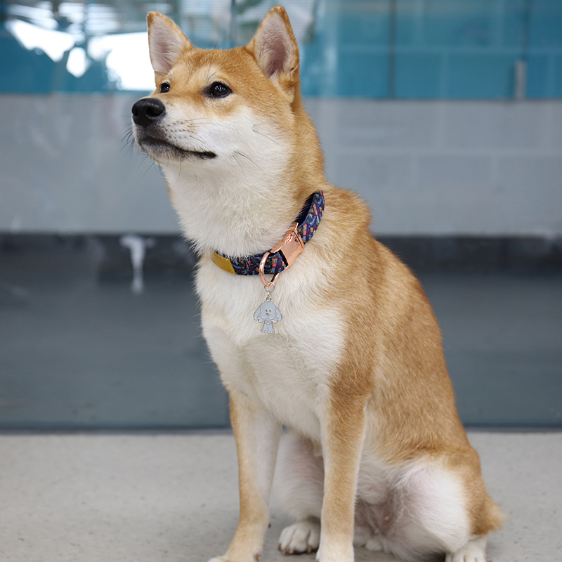 Médaille d'identification pour animal de compagnie avec gravure de logo personnalisée, en acier inoxydable. 15