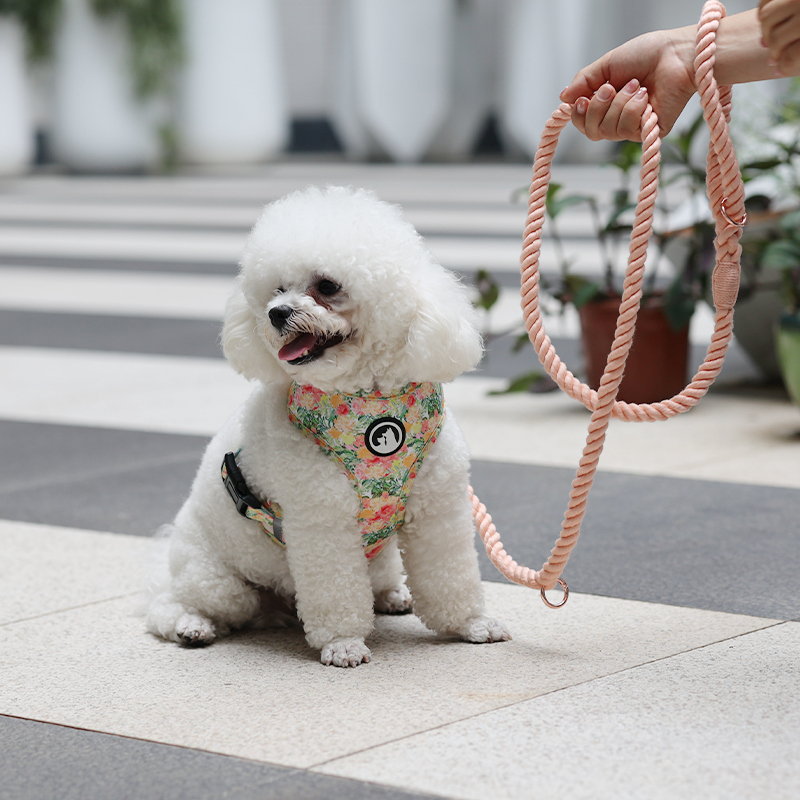 OKEYPETS Qualitas Utrinque Impressa Reversibilis Canum Loricarum Set Fabricator 16