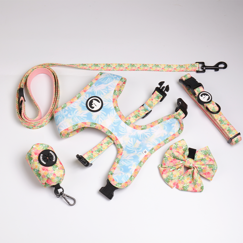 OKEYPETS Qualitas Utrinque Impressa Reversibilis Canum Loricarum Set Fabricator 13