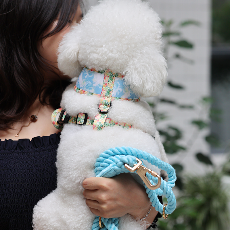 Fabricant de laisses pour chiens en coton. Laisse en corde pour chien disponible en 9 couleurs. 18