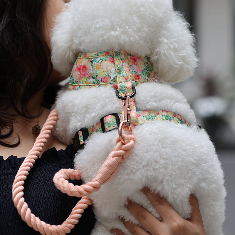 Fabricant de laisses pour chiens en coton. Laisse en corde pour chien disponible en 9 couleurs. 19