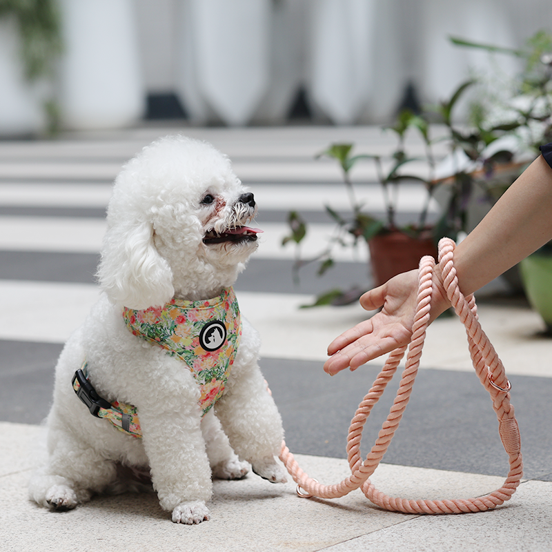 Fabricant de laisses pour chiens en coton. Laisse en corde pour chien disponible en 9 couleurs. 20