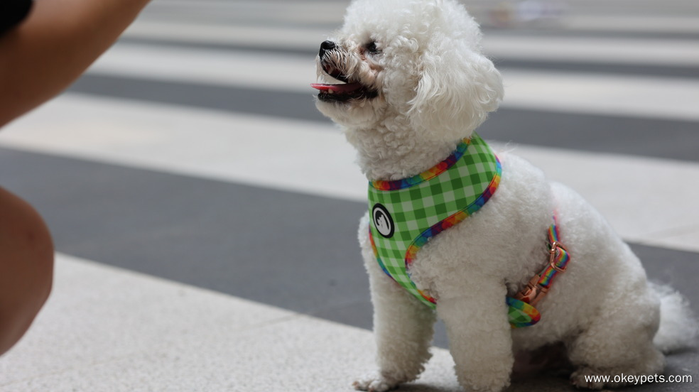 Harnais réversible pour chien OKEYPETS Custom Adjust Pets 22