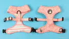 Reversible Dog Harness: Double-sided designs for double the fun! 4
