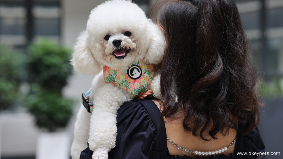 Harnais réversible pour chien OKEYPETS Custom Adjust Pets 23