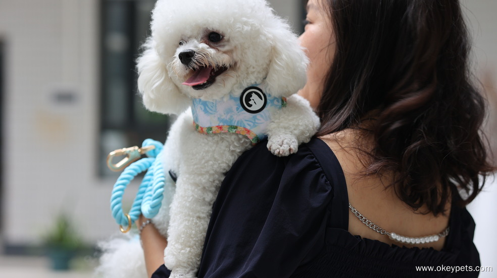 Harnais réversible pour chien OKEYPETS Custom Adjust Pets 24