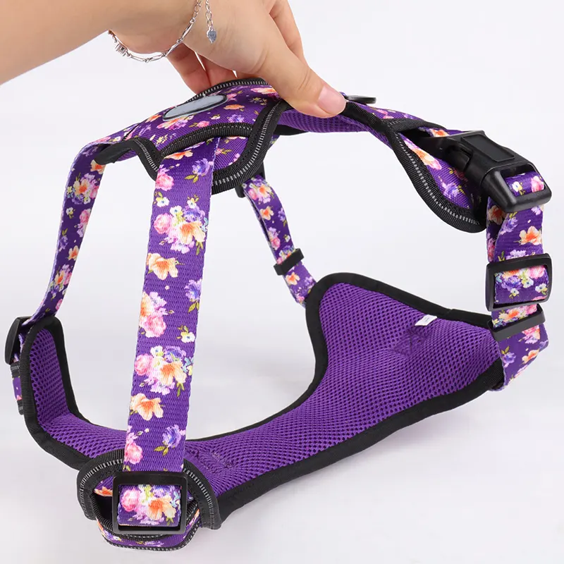 Easy Step-In Neoprene Dog Harness - Adjustable, No Pull, Best for Small to Medium Dogs 2