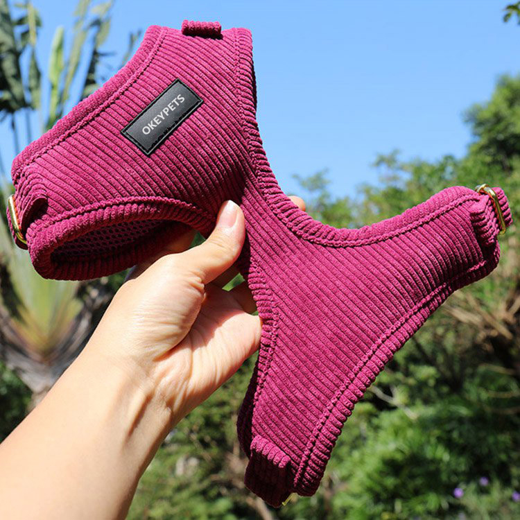 Ensemble harnais et laisse pour chien en gros, harnais en velours ajustable avec nœud papillon. 12