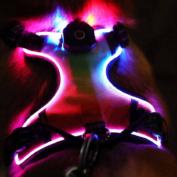 Ensemble harnais et laisse pour chien en gros, harnais en velours ajustable avec nœud papillon. 15