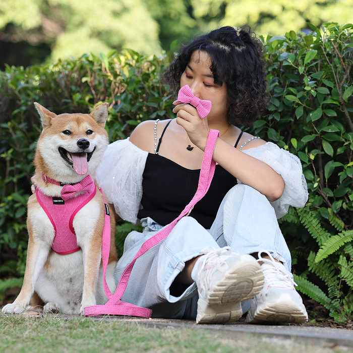 Quels types de matériaux utilisons-nous pour les harnais pour animaux de compagnie ? 14