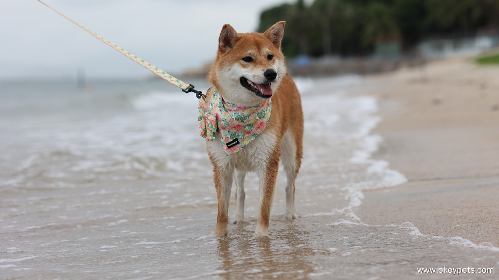 OKEYPETS Harnais réversible doux et confortable pour chien, gilet, licol de promenade pour chien - Fabricant 49