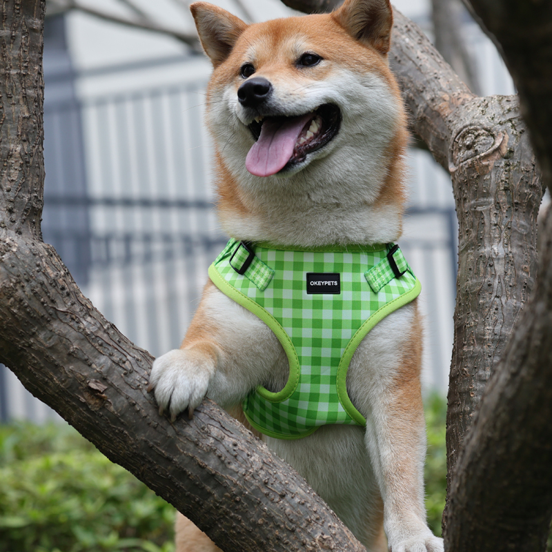 Harnais pour chien de Noël personnalisé, nouveau produit, ajustable, impression par sublimation, en polyester néoprène, avec laisse et collier. 26