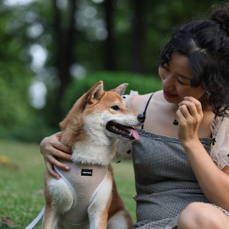 Harnais pour chien de Noël personnalisé, nouveau produit, ajustable, impression par sublimation, en polyester néoprène, avec laisse et collier. 27