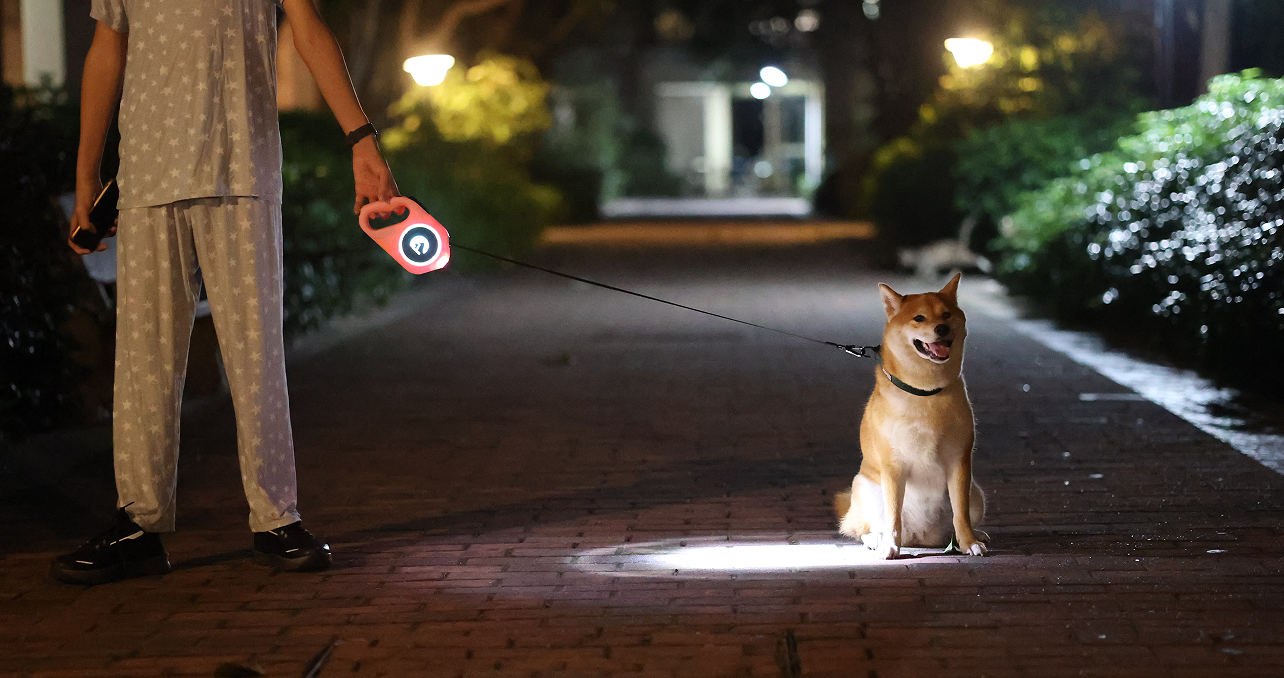 Laisse longue rétractable OKEYPETS avec lumière LED violette, rose et bleue 13
