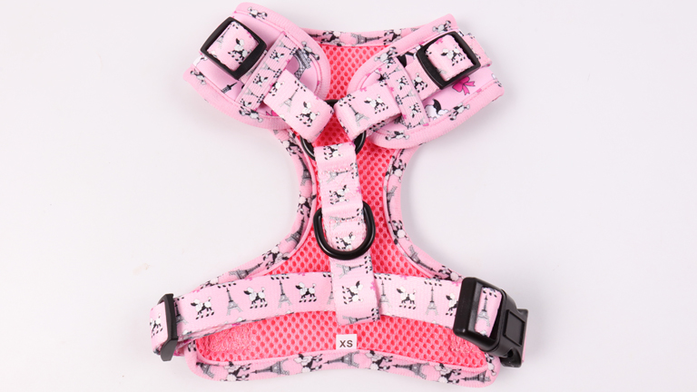 Harnais pour chien et chat en gros, anti-traction, pour la sécurité des chiots, avec collier, laisse, porte-sacs à déjections, nœud papillon et bandana avec logo. 7