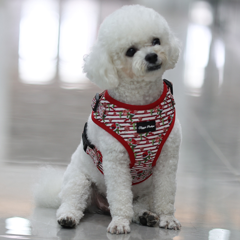 Harnais pour chien et chat en gros, anti-traction, pour la sécurité des chiots, avec collier, laisse, porte-sacs à déjections, nœud papillon et bandana avec logo. 24