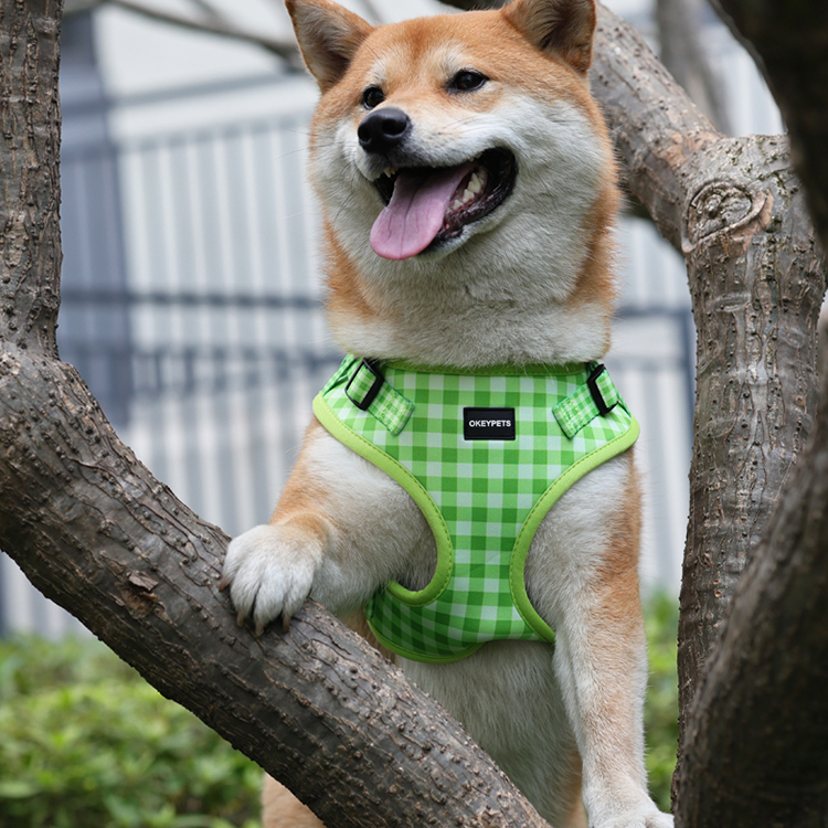 Ensemble harnais et laisse pour chien en gros, harnais en velours ajustable avec nœud papillon. 22