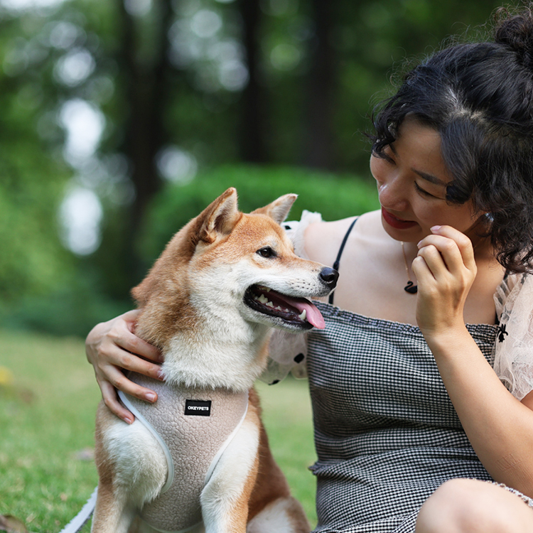 Ensemble harnais et laisse pour chien en gros, harnais en velours ajustable avec nœud papillon. 23