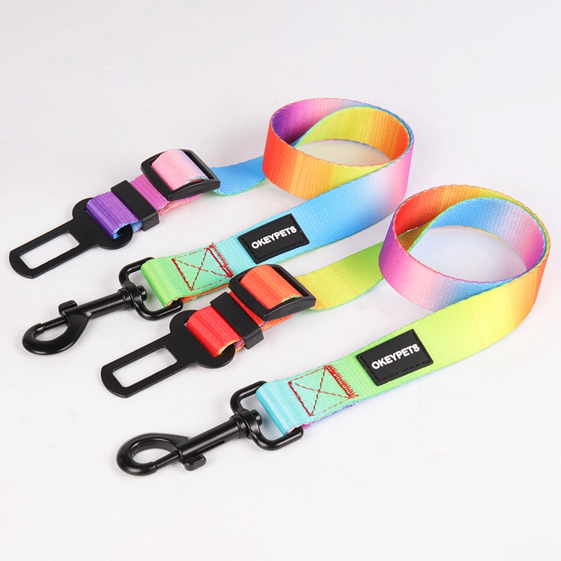 OKEYPETS Ensemble harnais pour chien arc-en-ciel double couche en maille 15