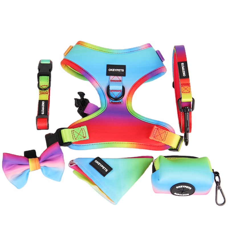 OKEYPETS Ensemble harnais pour chien arc-en-ciel double couche en maille 8