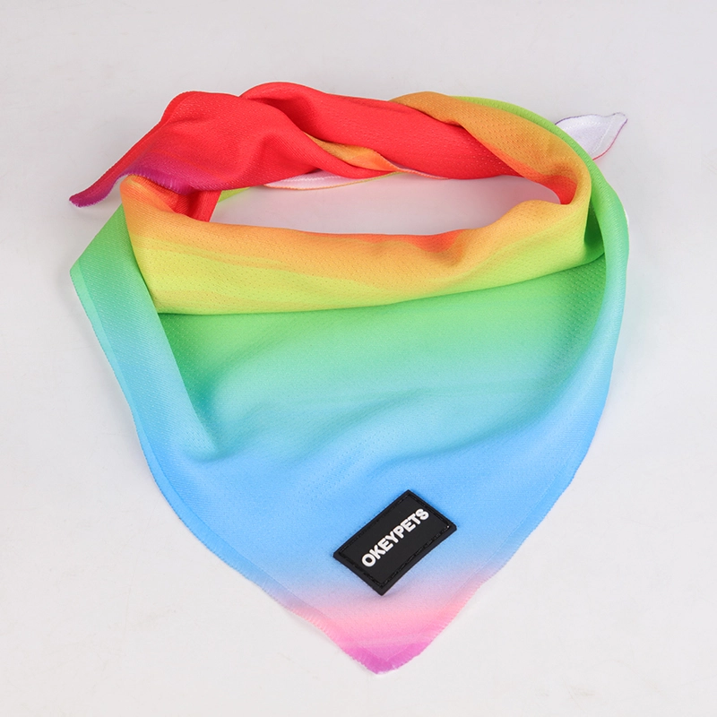 OKEYPETS Ensemble harnais pour chien arc-en-ciel double couche en maille 13