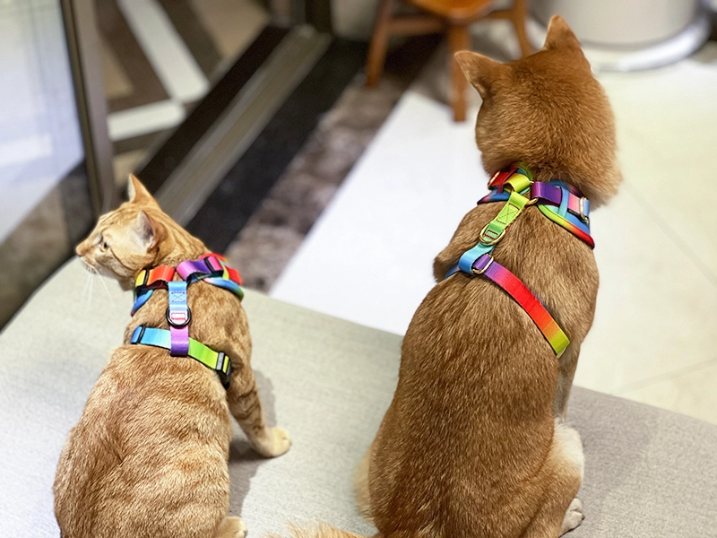 OKEYPETS Ensemble harnais pour chien arc-en-ciel double couche en maille 21