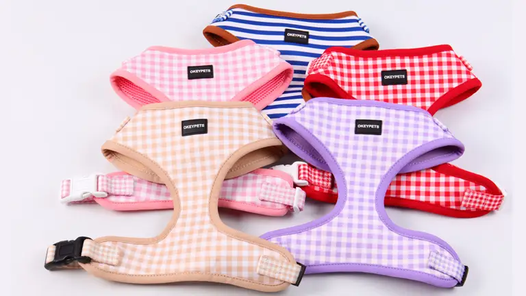 Harnais pour chien en néoprène - Harnais pour chien ajustable et adorable avec nom 1