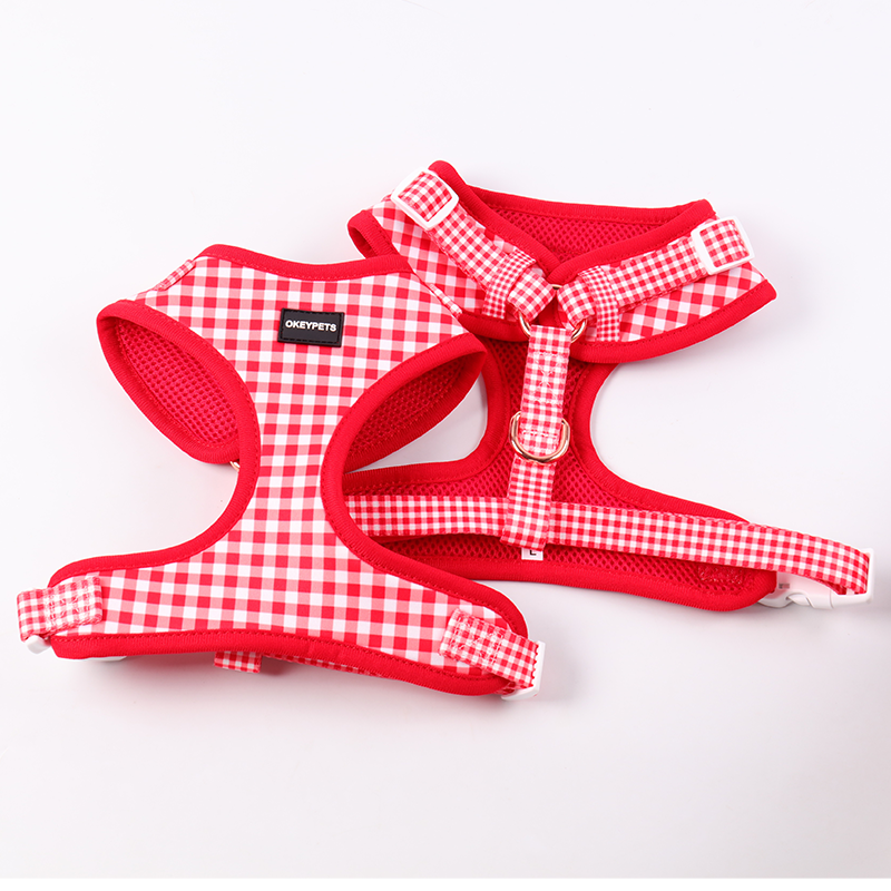 Harnais pour chien en néoprène - Harnais pour chien ajustable et adorable avec nom 7