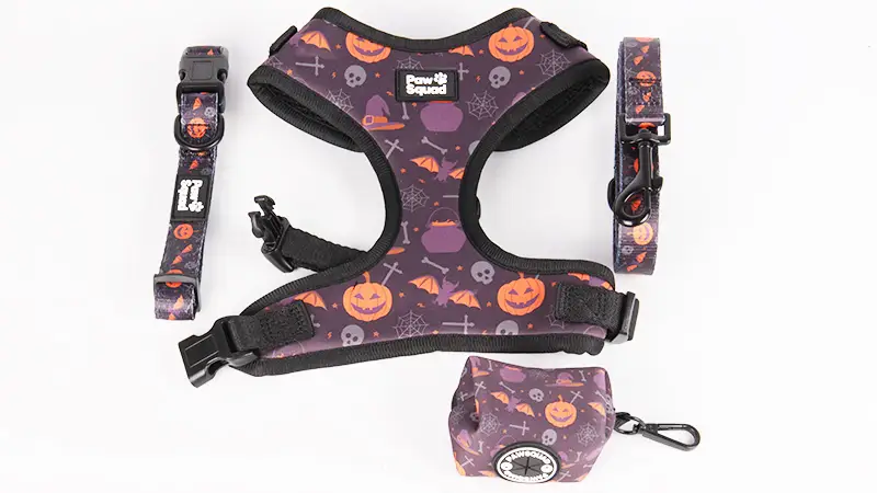 OKEYPETS Fabricant en gros Ensemble collier et laisse pour chien, motif Halloween, sublimation, créateur 1