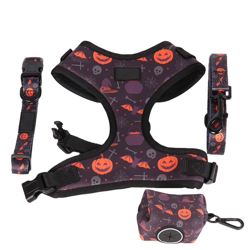 OKEYPETS Fabricant en gros Ensemble collier et laisse pour chien, motif Halloween, sublimation, créateur 9