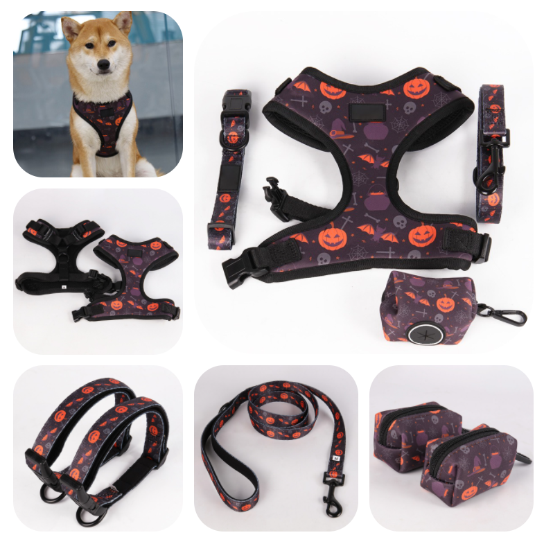 OKEYPETS Fabricant en gros Ensemble collier et laisse pour chien, motif Halloween, sublimation, créateur 18