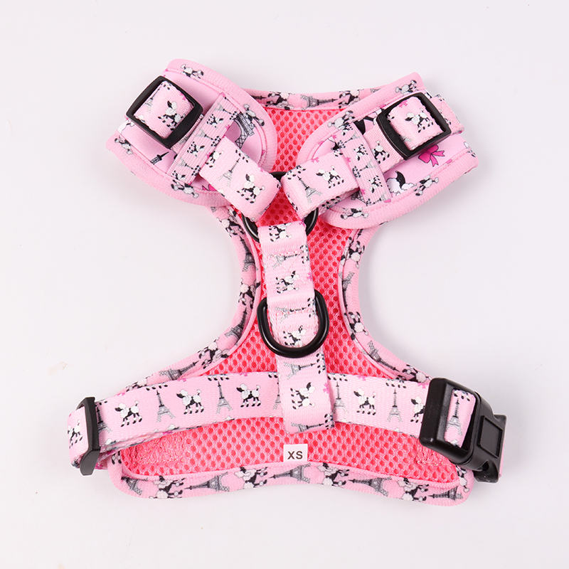 Ensemble harnais, collier et laisse en néoprène rose Okeypets, fabriqué en Chine sur mesure 7