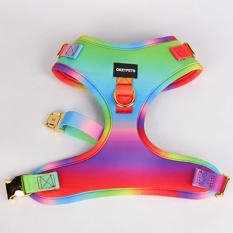 OKEYPETS Ensemble harnais et laisse arc-en-ciel pour chien, design imprimé, sécurité, réglable, respirant, en maille aérée. 10