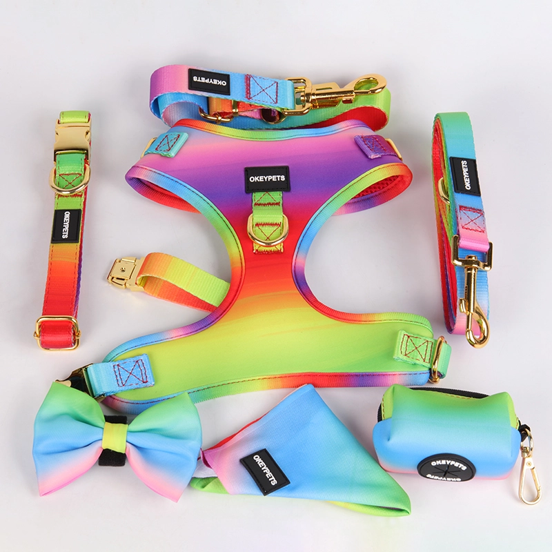 OKEYPETS Ensemble harnais et laisse arc-en-ciel pour chien, design imprimé, sécurité, réglable, respirant, en maille aérée. 9