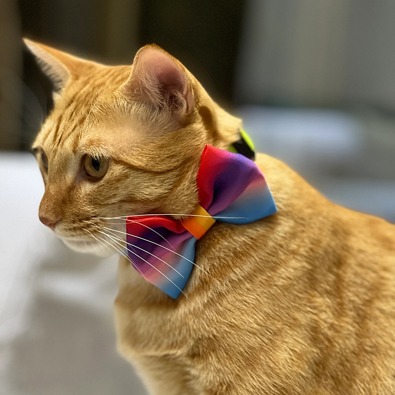 OKEYPETS Ensemble harnais et laisse arc-en-ciel pour chien, design imprimé, sécurité, réglable, respirant, en maille aérée. 25