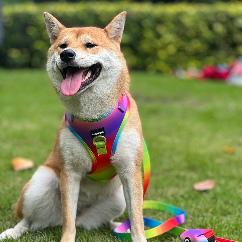 OKEYPETS Ensemble harnais et laisse arc-en-ciel pour chien, design imprimé, sécurité, réglable, respirant, en maille aérée. 21