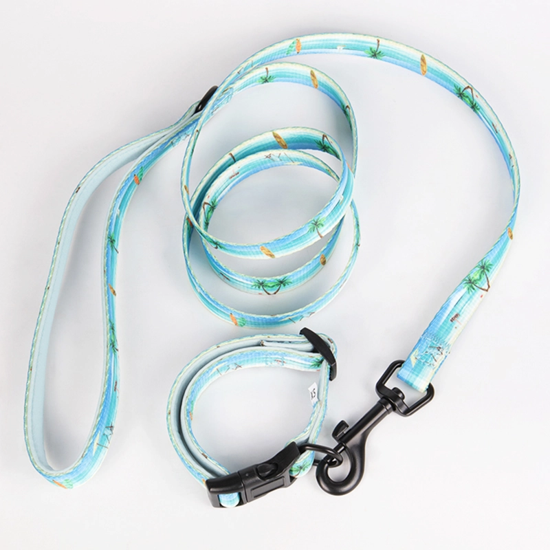 OKEYPETS Accessoires pour chiens ajustables et personnalisés : ensemble harnais et laisse assortis, harnais de poitrine et collier personnalisés. 10