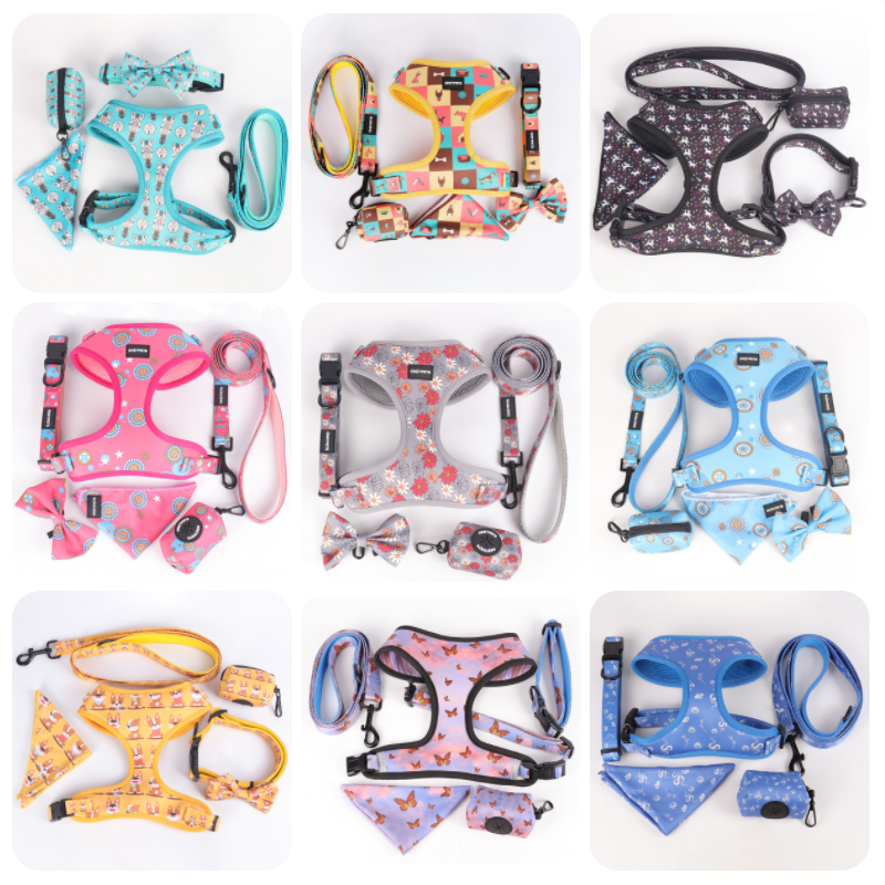 Harnais pour chien OKEYPETS en néoprène imprimé par sublimation, au design tendance et mignon, avec laisses et colliers assortis. 14