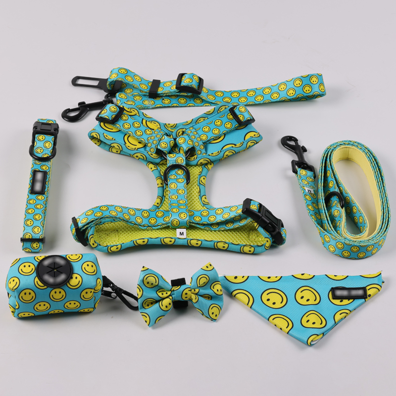 OKEYPETS Neopren-Hundegeschirr-Halsband-Leinen-Set Hersteller 7