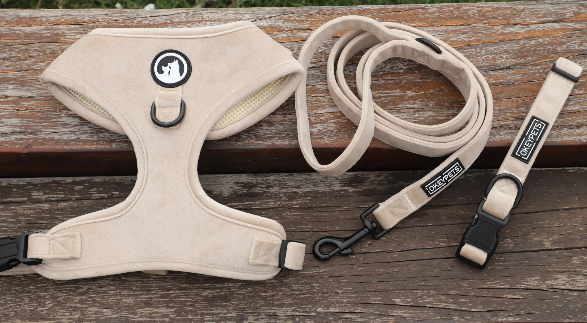 Harnais pour chien en velours personnalisable avec collier et laisse, harnais rembourré doux. 1