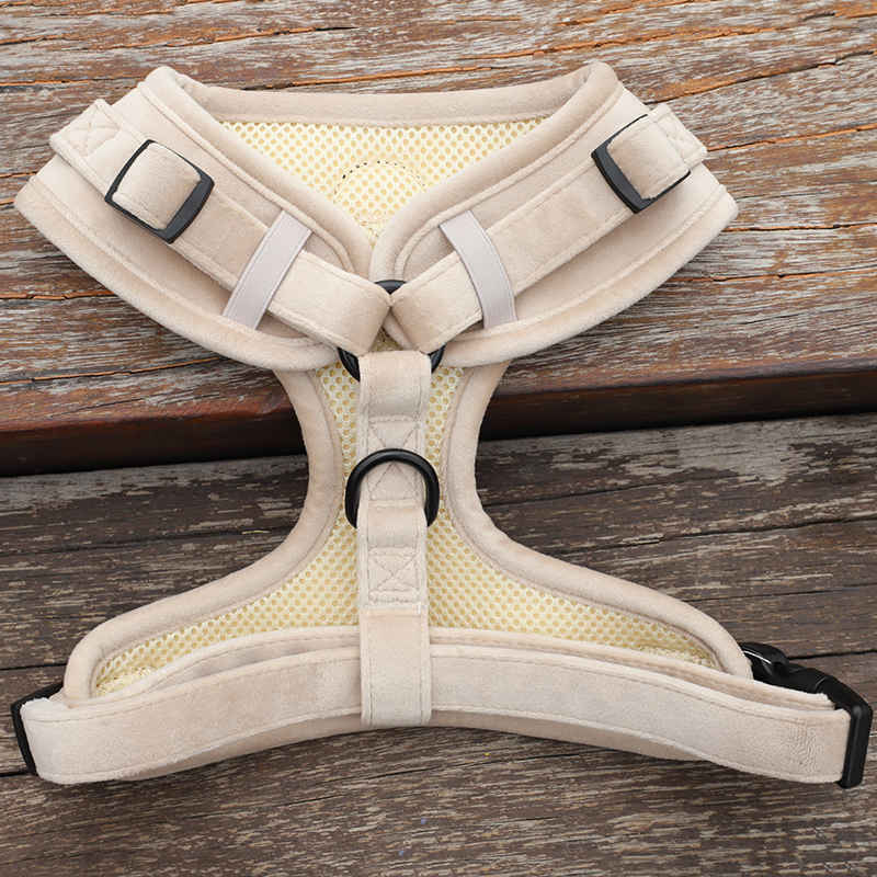 Harnais pour chien en velours personnalisable avec collier et laisse, harnais rembourré doux. 10