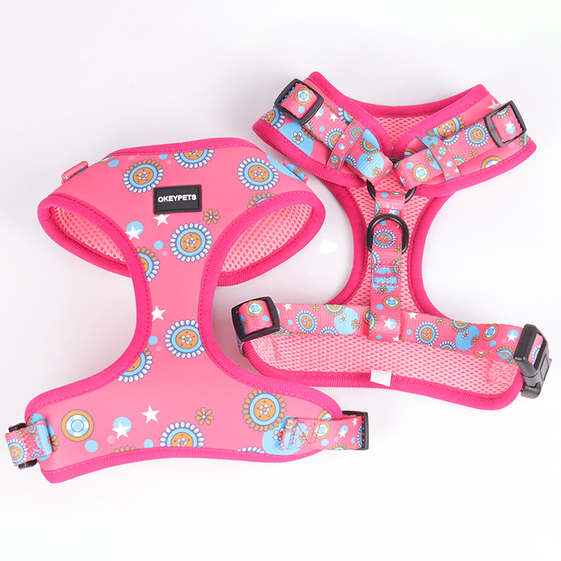 OKEYPETS Ensemble de 6 en 1 personnalisé par sublimation en polyester de luxe avec adorables chiots : collier, laisse, harnais et laisse pour chien 11