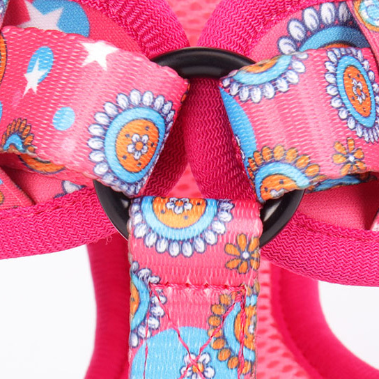 OKEYPETS Ensemble de 6 en 1 personnalisé par sublimation en polyester de luxe avec adorables chiots : collier, laisse, harnais et laisse pour chien 15