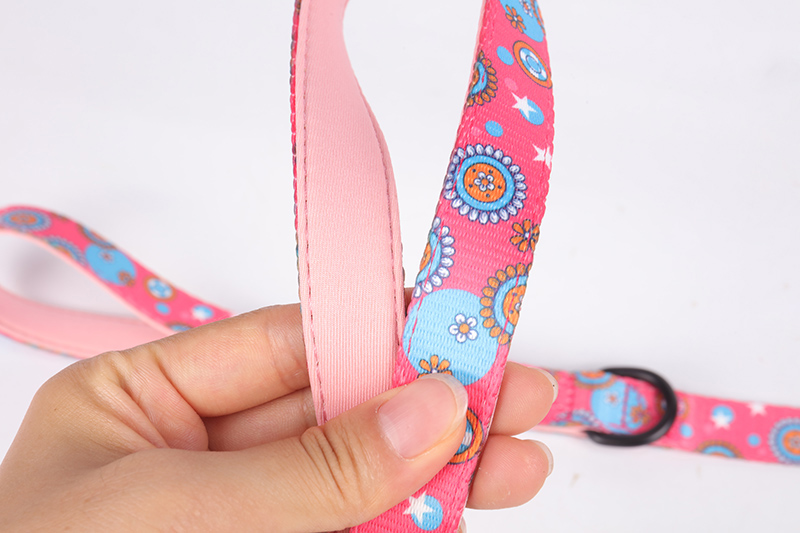 OKEYPETS Ensemble de 6 en 1 personnalisé par sublimation en polyester de luxe avec adorables chiots : collier, laisse, harnais et laisse pour chien 17